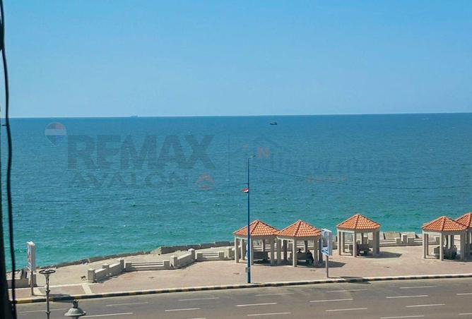 81056040 - الصورة الرئيسية للعقار