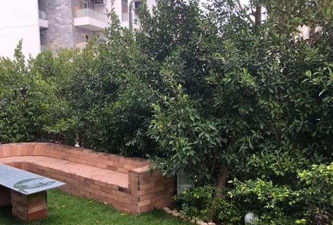 8654111 - Property Image 3