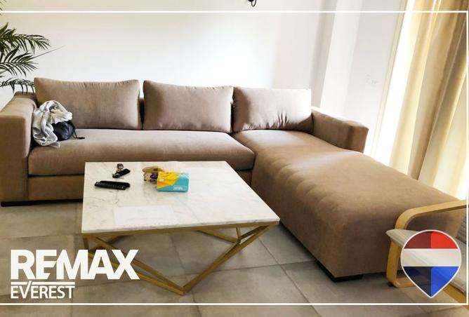 8525335 - Property Image 3