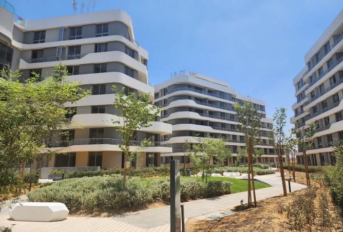 101786193 - Property Image 3