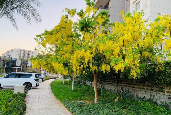 98825924 - صورة العقار 3