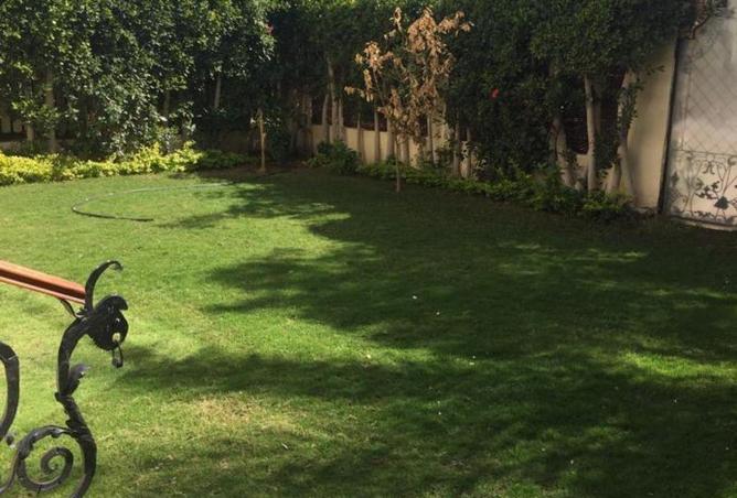 55993518 - صورة العقار 2