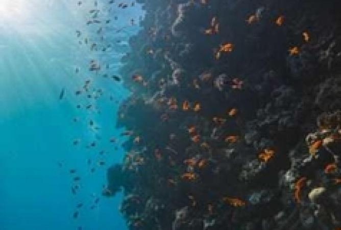 70622124 - Property Image 3