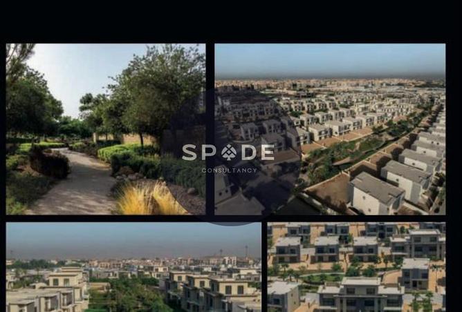 61682474 - Property Image 3