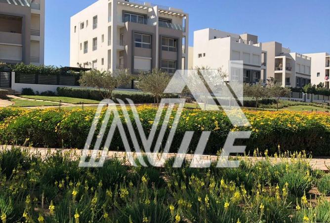 70877384 - صورة العقار 2