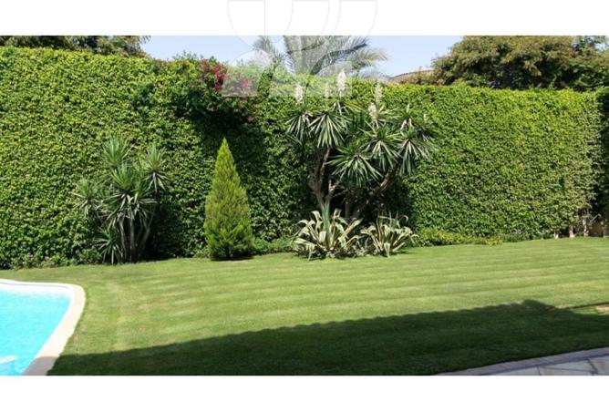 58006599 - Property Image 3