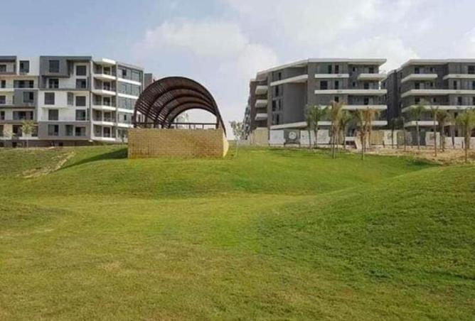 54237924 - Property Image 3