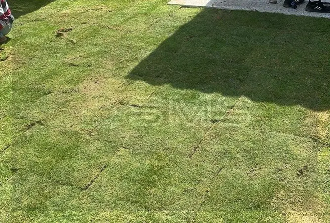 115449486 - Property Image 3