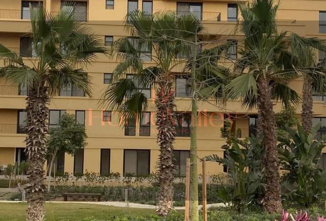 57241599 - صورة العقار 3