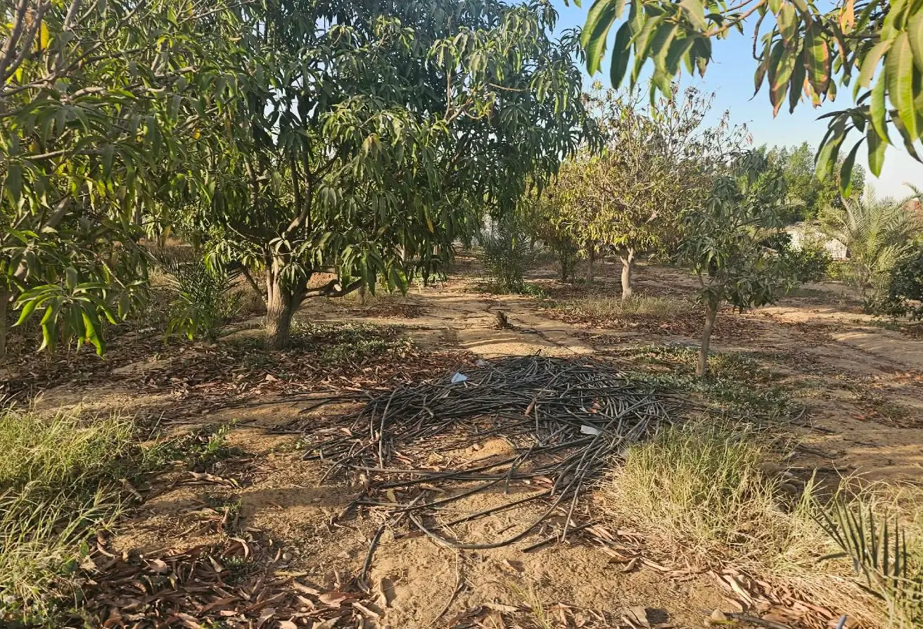 121654967 - الصورة الرئيسية للعقار