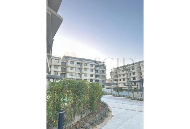 58003572 - صورة العقار 3