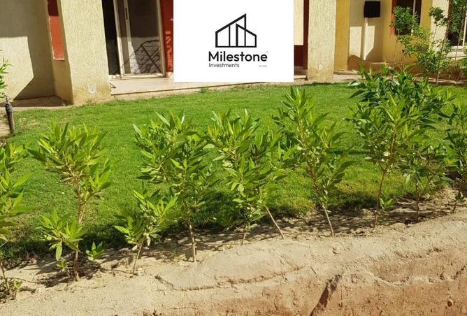 57484120 - صورة العقار 3