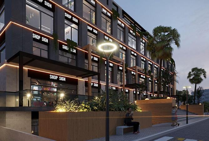 66696053 - صورة العقار 3