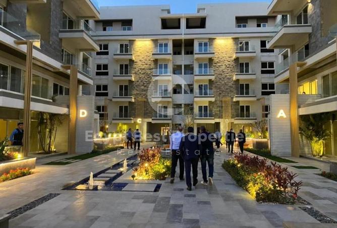 56253778 - صورة العقار 3