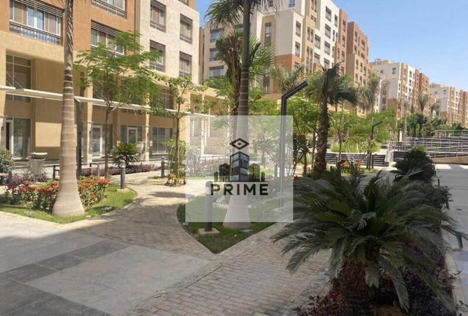 65921751 - Property Image 3