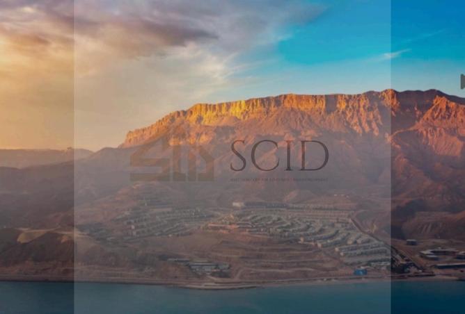 51176122 - صورة العقار 2