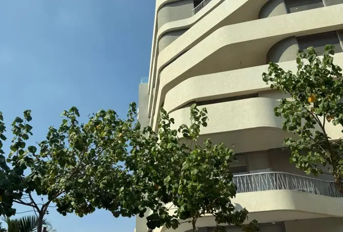 109642971 - Property Image 3
