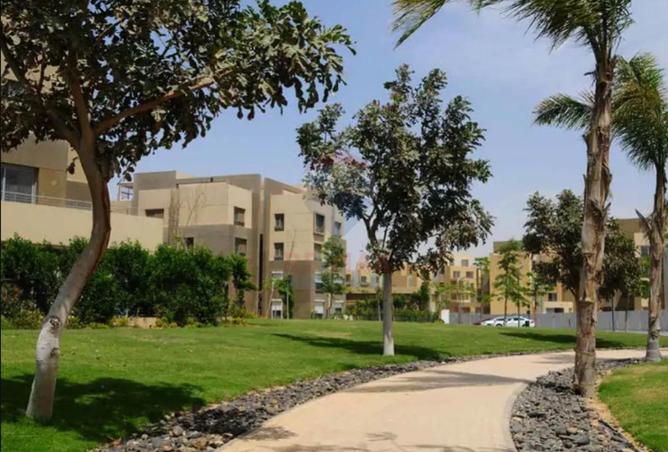 67997460 - صورة العقار 3