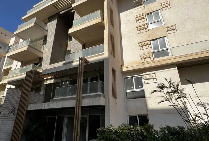 115440126 - Property Image 3