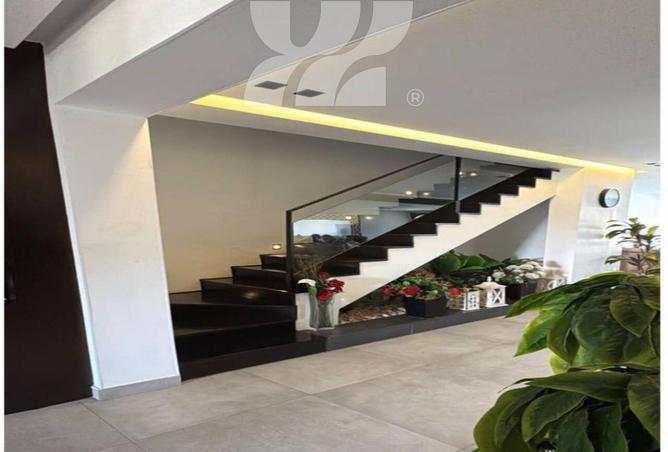 99799340 - Property Image 3