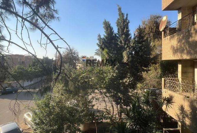 56002811 - صورة العقار 2