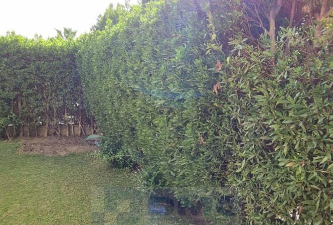 85873453 - Property Image 2