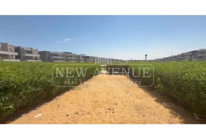 112695876 - Property Image 3