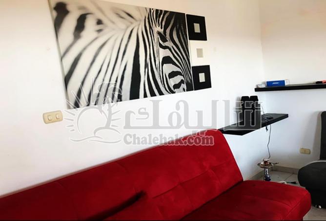 8718355 - Property Image 3