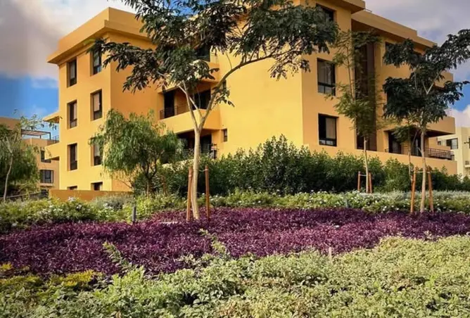 83405407 - صورة العقار 3