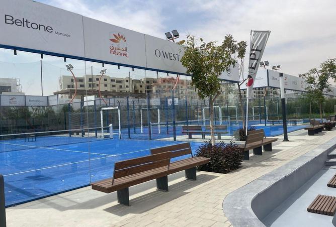 58241189 - Property Image 3