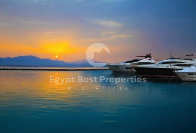 64907876 - صورة العقار 2