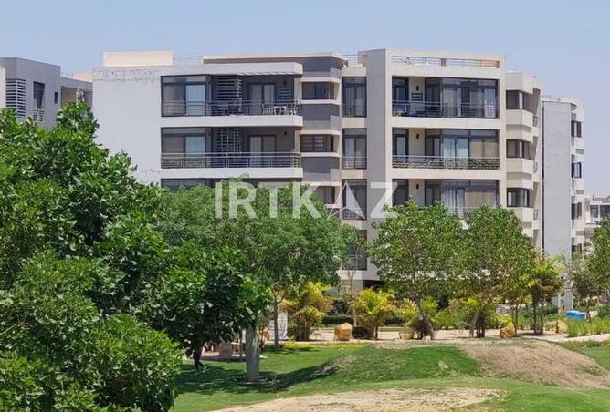 55993501 - Property Image 2