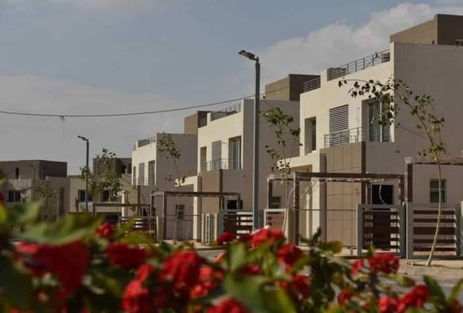 8462001 - Property Image 3