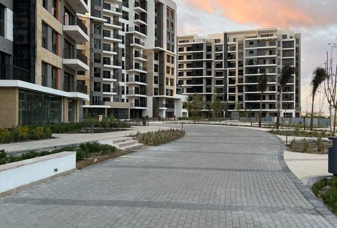 8560491 - Property Image 3