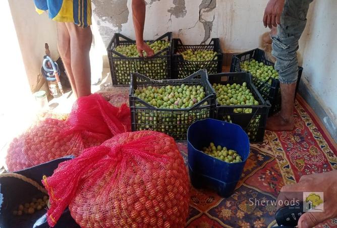 66969212 - Property Image 2