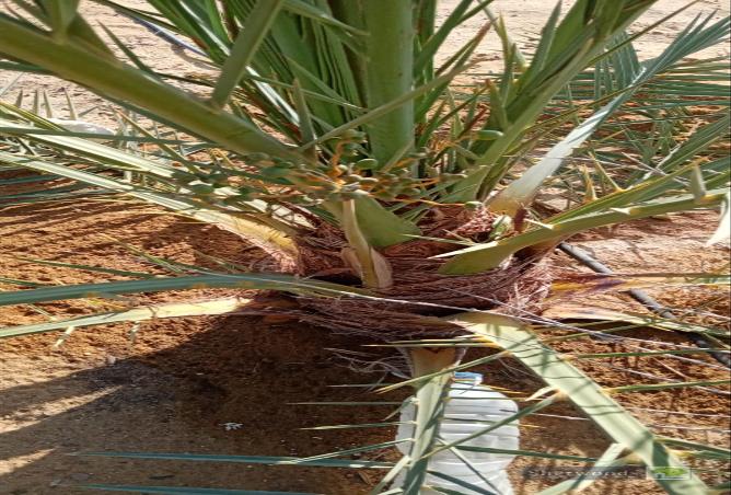 66969212 - Property Main Image