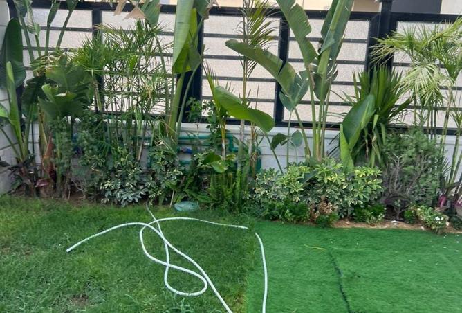 62646753 - صورة العقار 3