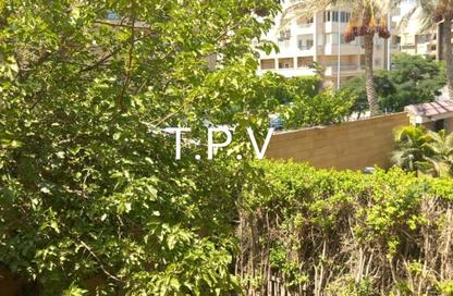 Villa - 3 Bedrooms - 3 Bathrooms for sale in Dyar Park - Ext North Inves Area - New Cairo City - Cairo Villa - 3 Bedrooms - 3 Bathrooms for sale in Dyar Park - Ext North Inves Area - New Cairo City - Cairo
