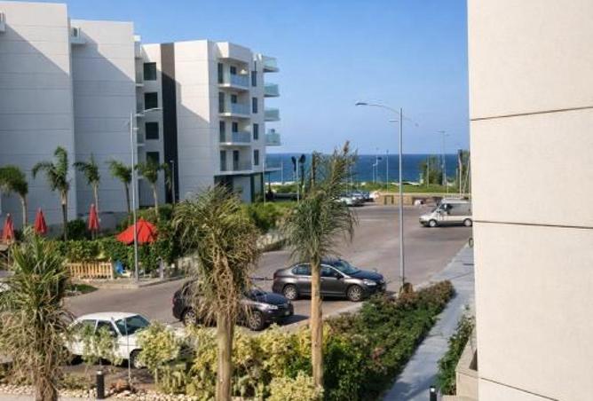 56251333 - Property Main Image