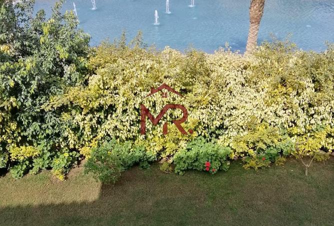 66439259 - Property Image 3