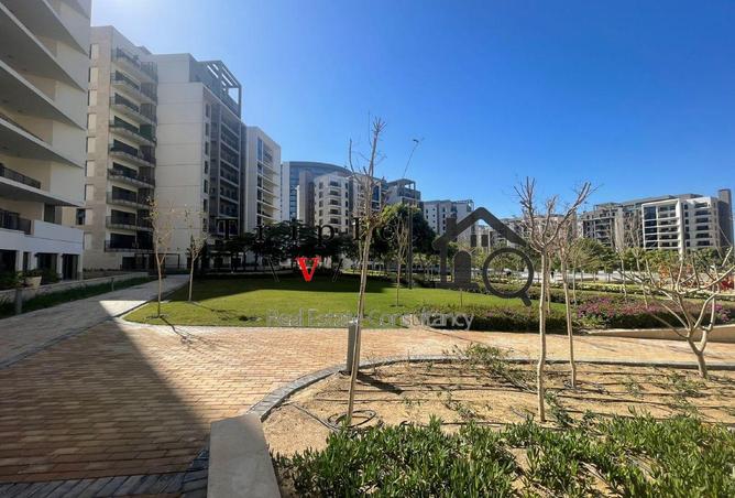 86405419 - Property Image 3