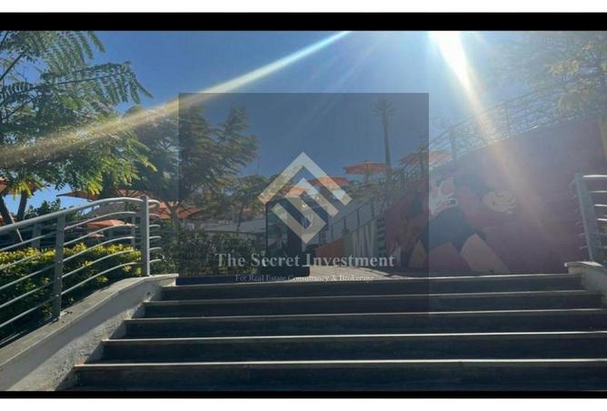 64143974 - Property Image 3