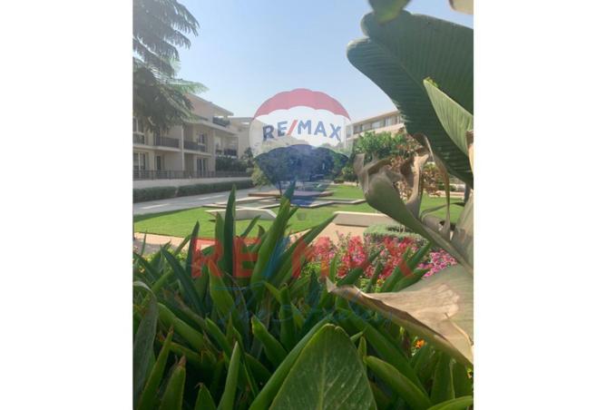 70357796 - صورة العقار 2