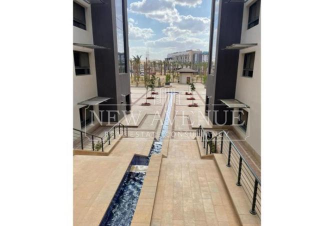 103482716 - Property Image 2