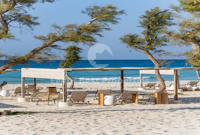 65158097 - صورة العقار 3