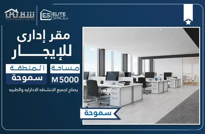 مساحات مكتبية - غرفة نوم - 1 حمام للايجار في جرين تاورز - سموحة - حي شرق - الاسكندرية