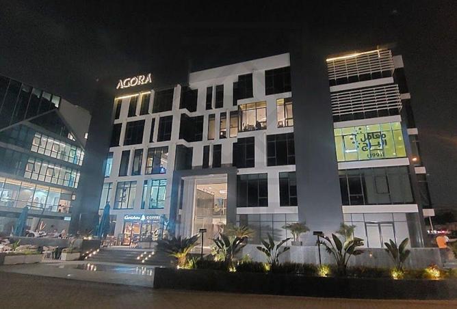 68785743 - صورة العقار 3