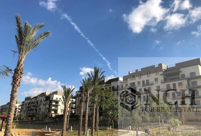 8671494 - Property Image 3