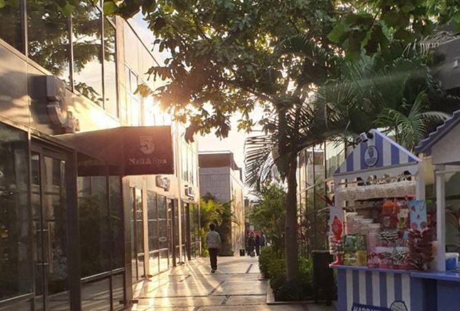 8681303 - صورة العقار 3