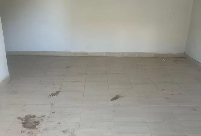 53722736 - صورة العقار 3